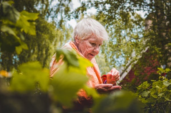 Astuces de grand-mère : 8 secrets pour un jardin florissant